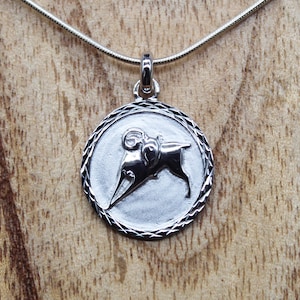 Aries Pendant, 925 Silver Necklace, Zodiac and Astrological Sign Jewelry, Women Gift, Men Gift