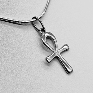 Può includere: Collana con pendente Ankh argentato. Il pendente, simbolo di vita egizio, è appeso a una sottile catena d'argento. Presentato su sfondo bianco, che ne esalta la lucentezza.