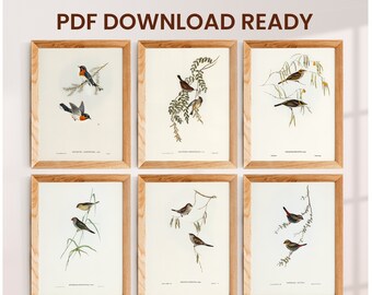 6 Beste Vintage Vogel Poster mit Namen - Bester Retro Vogel Print - ReisePoster, Sport, Zuhause Wandkunst, Geschenk für Ihn, Papa Geschenk, Druckfertig