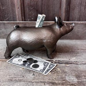 May include: A metal piggy bank in the shape of a pig with a dollar bill sticking out of the slot. The piggy bank is sitting on a wooden surface with a few dollar bills and coins scattered around it.