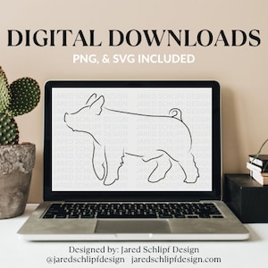 Show Pig Digital Download, Line Barrow, Show Livestock, Livestock Digital Download