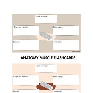 Anatomy Flashcard - Medical and Nursing students