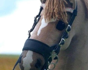 May include: A brown and white horse head with a black leather halter and a black mesh fly mask. The halter has a silver buckle and a rhinestone browband.