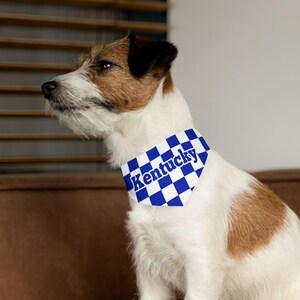 Kentucky Wildcats UK Pet Bandana with Collar