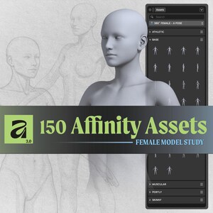 May include: Image featuring a 3D female model with a neutral expression. The image includes a digital interface displaying various poses and body types. The text "150 Affinity Assets" and "Female Model Study" is prominently displayed.