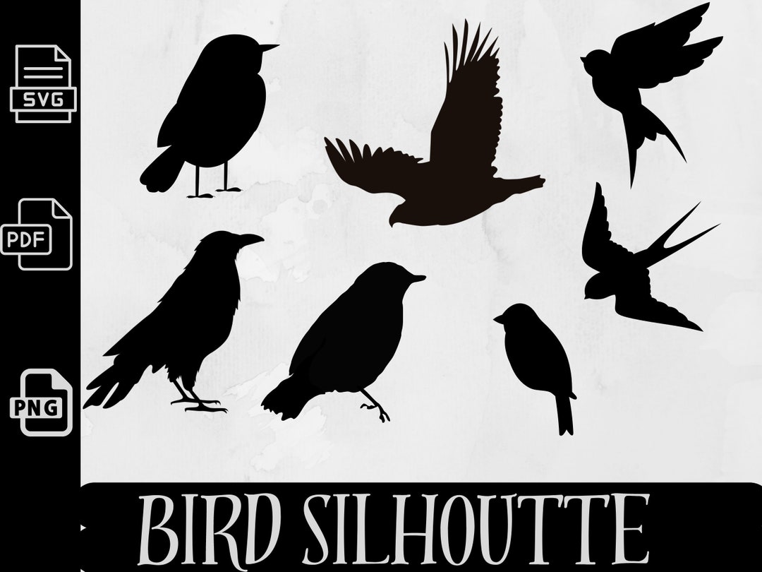 Bird Svg Bundle, Bird SVG, Flying Bird Svg, Clipart of Birds, Bird