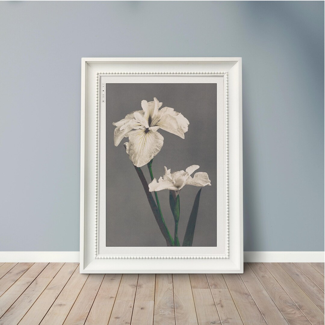 ZZXCHG Leinwand Bild 30x50cm Pearl Jam - Modernes Wandbild Ohne Rahmen