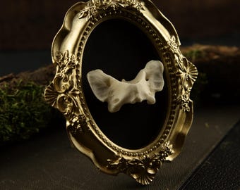 Atlas Vertebra Fox Framed - Witchcraft, Nature Decoration, Christmas Gift, Mushroom Decoration, Wall Decoration