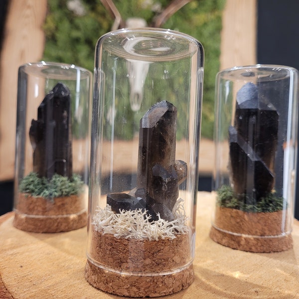 Echter Rauchquartz mini Diorama - Natur Witch Gothic Deko Fotografie Kuriosität