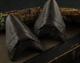 Megalodon Tooth 3D-Printed - 3D Print Gothic Decoration Window Decoration Middle Ages Larp Dark Art Fossils Dinosaur