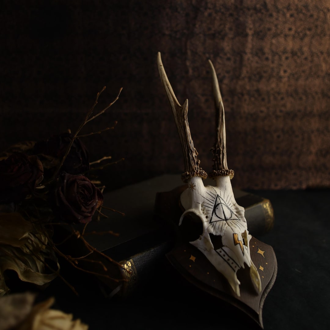 Real Deer Skull Nature Witch Gothic Decoration Photography Curiosity - Etsy