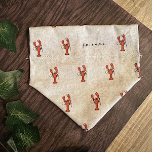 Friends Lobster Dog Collar Bandana