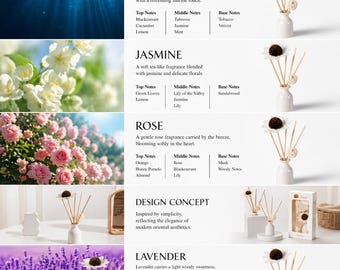 Mother’s Day Gift Idea – Elegant Reed Diffuser Set(4 sets of different flavor)