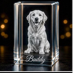 May include: A clear, rectangular crystal block featuring a detailed engraving of a Golden Retriever dog. The dog is sitting with its tongue out, and the name "Buddy" is inscribed at the base. The background is black.