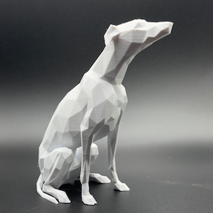 Modello stampato in 3D di Whippet, Greyhound, Lurcher, Sighthound, Saluki. Ornamento leggero, regalo ideale, vari colori. Riempitivo per calze