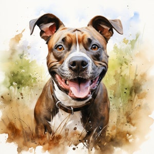 Majestätische 10 x Druck Aquarell American Bully Dog Kunst American Bully Dog Druck American Bully Dog Aquarell American Bully Dog Wandkunst