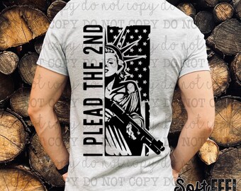 The Second Amendment - DTF Transfer - Direct To Film Ready To Press Transfer-Iron On Clothing Transfer