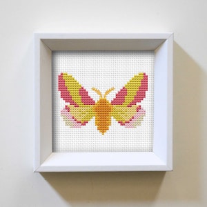 Rosy Maple Moth Cross Stitch Pattern, Insects Cross Stitch, Easy Cross Stitch, Mini Cross Stitch, Simple Cross Stitch