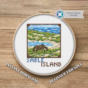 May include: A cross-stitch pattern of Sable Island, featuring a brown horse, green and white landscape, and blue sky and water. The text "Sable Island" is below the image. The text "Instant Download" and "Beginner Friendly" are also included.