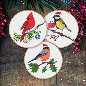 Weihnachtsvögel Kreuzstichmuster, Minikreuzstich, einfacher Kreuzstich, Weihnachtskreuzstich, Winterkreuzstich, Anfängermuster