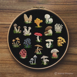 Mini Mushrooms Cross Stitch Pattern, Fly Agaric Cross Stitch, Easy Cross Stitch, Autumn Embroidery, Simple Cross Stitch, Poisonous Mushroom