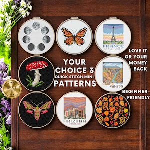 May include: Nine cross-stitch mini patterns in embroidery hoops. Designs include a butterfly, Eiffel Tower, Grand Canyon, mushroom, moth, Arizona Phoenix, and fall leaves. Text reads "Your Choice 3 Quick Stitch Mini Patterns."