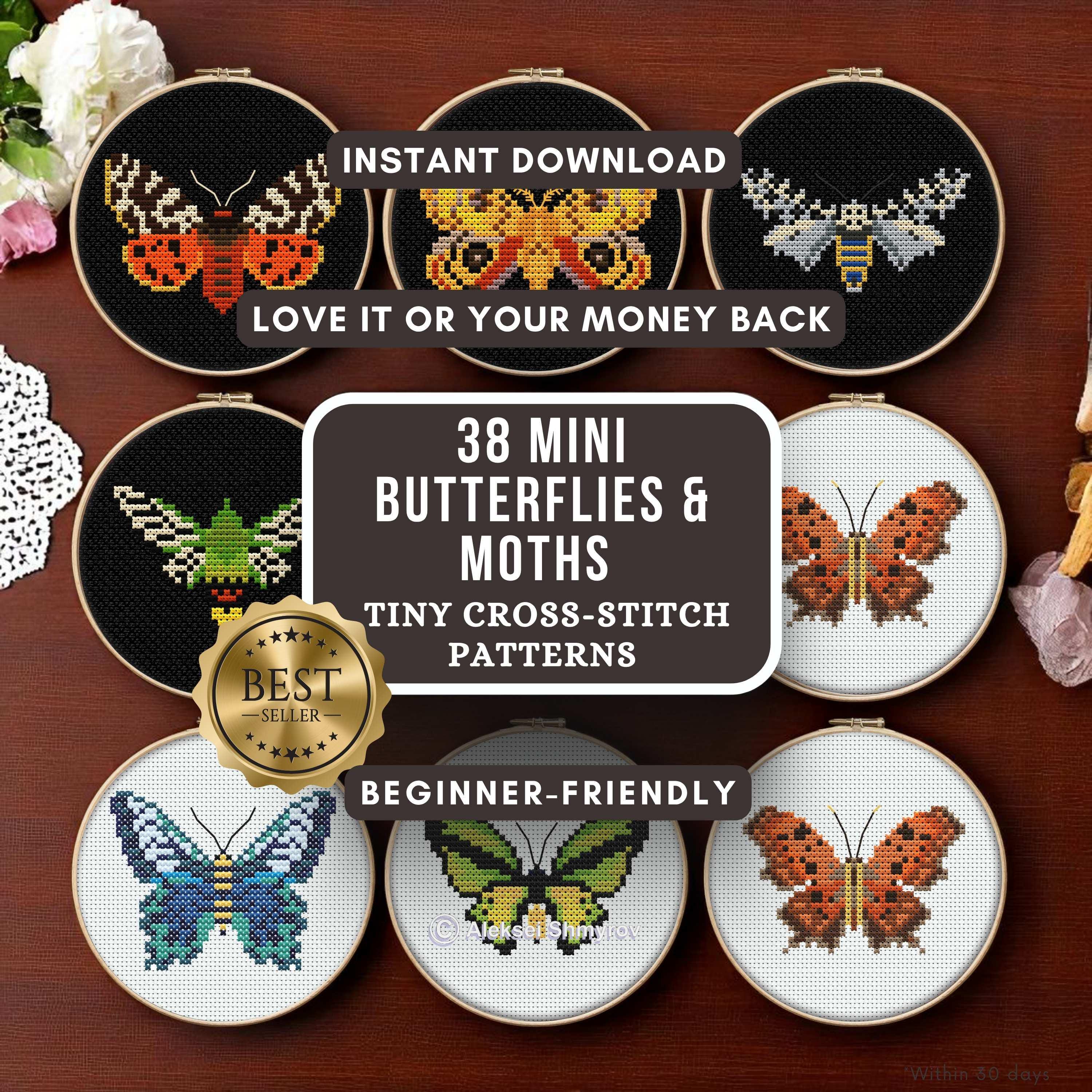 専用ページ　ミニ　蝶 Amazon.co.jp: 蝶の標本 アドニスモルフォ Morpho adonis モルフォ