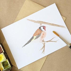 Stieglitz Aquarellkarte Klappkarte Postkarte Offwhite Vogel Vögel Gartenvögel Rotkehlchen Blaumeise