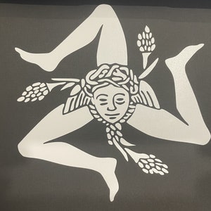 Vinyl Sticker for Vehicle Window