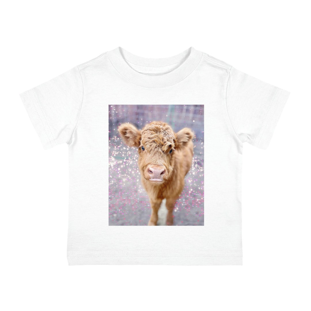 Highland Cow, Scottish Highland, Baby Cow, Farm, Ranch, Country, Infant ...