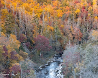 BlueRidge Parkway Fall Photography, Photography Print, Nature Print, Wall Art, Landscape Photo, Fine Art Print