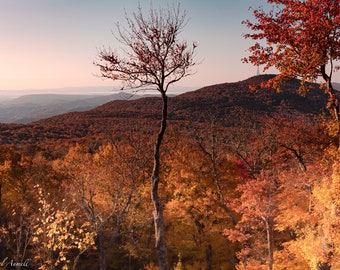 BlueRidge Parkway Fall Photography, Photography Print, Nature Print, Wall Art, Landscape Photo, Fine Art Print