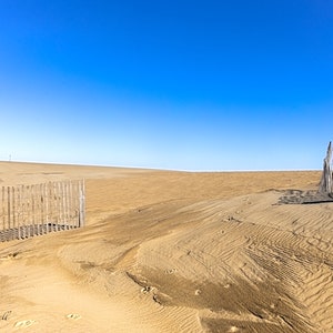 Jockey&#39;s Ridge Sand Dunes, North Carolina, Photography, Photography Print, Nature Print, Wall Art, Landscape Photo, Fine Art Print