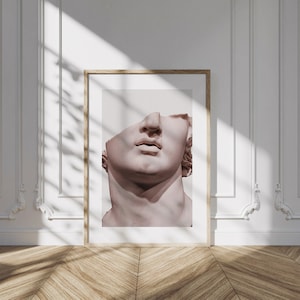 Minimalist Greco-Roman Half-Head Bust Art, DIGITAL Print, Art, Vintage Art, Modern Art, Eclectic Art, Wall Art, Greek Art, Greek Statue
