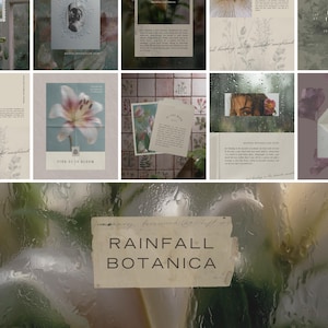 May include: A collection of botanical-themed stationery and art prints. The images feature floral designs, handwritten text, and a soft, muted color palette. The text "FIND US IN BLOOM" and "RAINFALL BOTANICA" are visible.