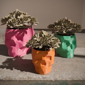 Low poly Skull Planter 3D Print Stl File | Stl File For 3D Printers | 3D Home Decor - Digital Download