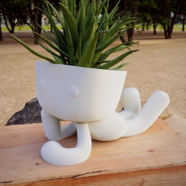 Milo Planter in Love 3D Print Stl File | Stl File For 3D Printers |Home Decor - Digital Download People , Succulent Robert Plant Zen Planter