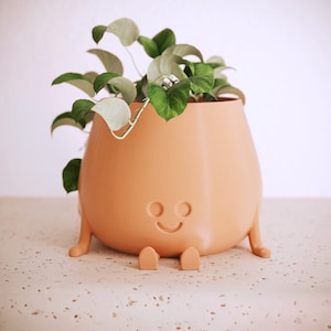 Peut inclure: Un pot en céramique orange clair avec un visage souriant et deux petites jambes. Le pot est rempli d'une plante verte et blanche.