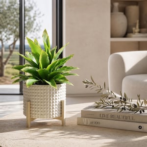 Quintana geometrische plantenbak STL-bestand | Moderne minimalistische pot (digitale download)