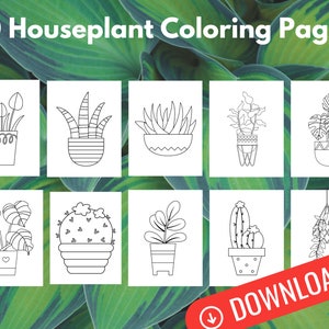Houseplant Coloring Pages, Printable Succulent, Cactus, Indoor Plant Coloring Book, Monstera Coloring Book, Cactus Coloring Book, Succulents