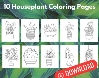Páginas para colorir de plantas de casa, suculentas para impressão, cactos, livro para colorir de plantas de interior, livro para colorir Monstera, livro para colorir de cactos, suculentas