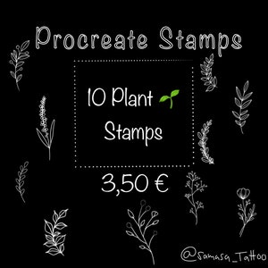 Tampons de procréation de plantes