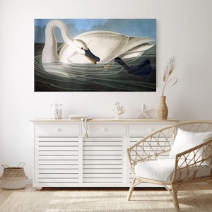 John James Audubon "Trumpeter Swan" Extremely Rare Print; Painting 1836; Printable Art, Digital Art, Wall Art, Audubon Art; Naturalist Art