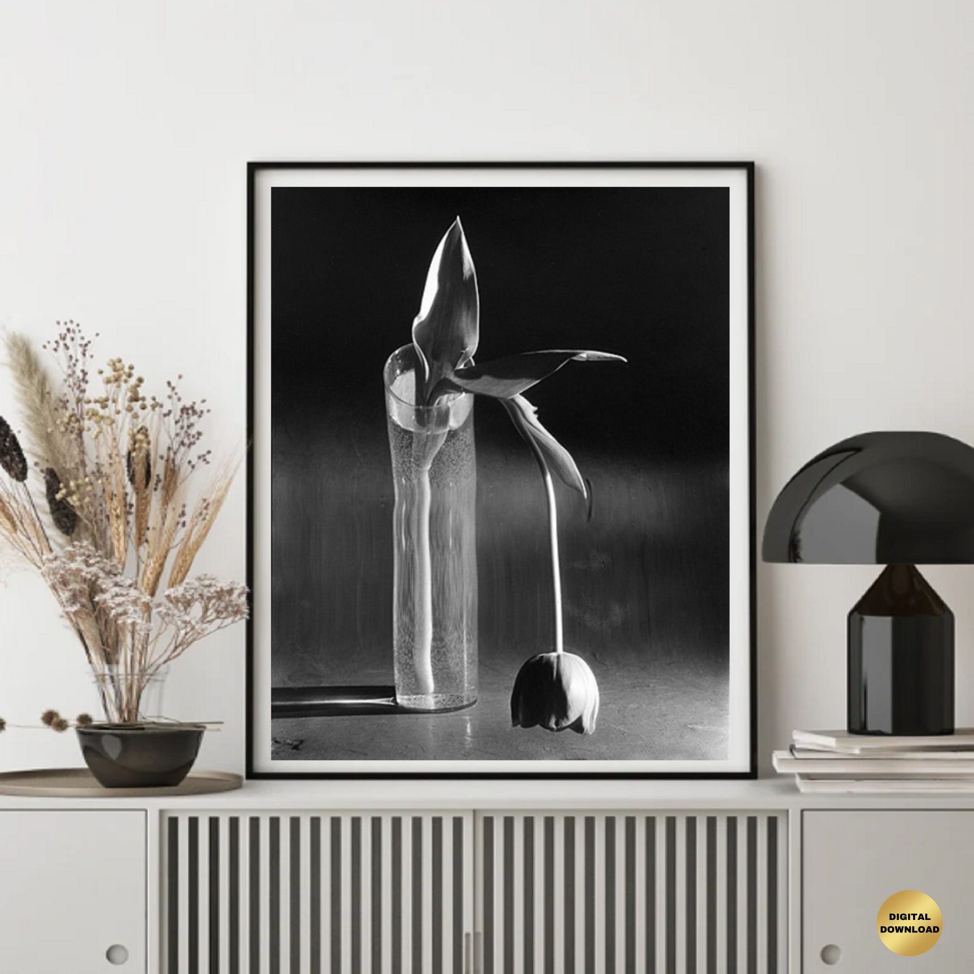 Andre kertesz - Etsy Polska