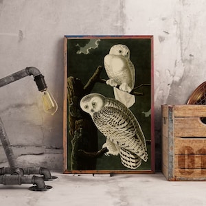 John James Audubon "Snowy Owl" Extremely Rare Print; Painting 1836; Printable Art, Digital Art, Wall Art, Audubon Art; Naturalist Art; Birds