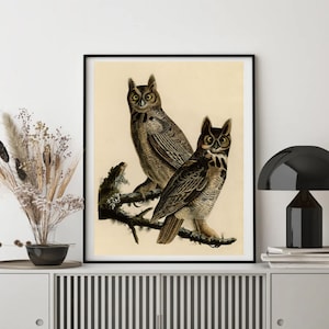 John James Audubon "Great Horned Owl" Extremely Rare Print; Painting 1836; Printable Art, Digital Art, Wall Art, Audubon Art; Bird Art