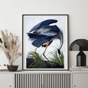 John James Audubon "Great Blue Heron" Extremely Rare Print; Painting 1836; Printable Art, Digital Art, Wall Art, Audubon Art; Naturalist Art