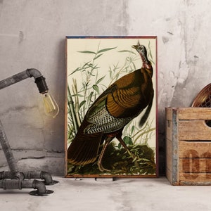 John James Audubon "Wild Turkey" Extremely Rare Print; Painting 1836; Printable Art, Digital Art, Wall Art, Audubon Art; Naturalist Art