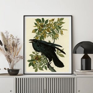 John James Audubon "Raven" Extremely Rare Print; Painting 1836; Printable Art, Digital Art, Wall Art, Audubon Art; Naturalist Art