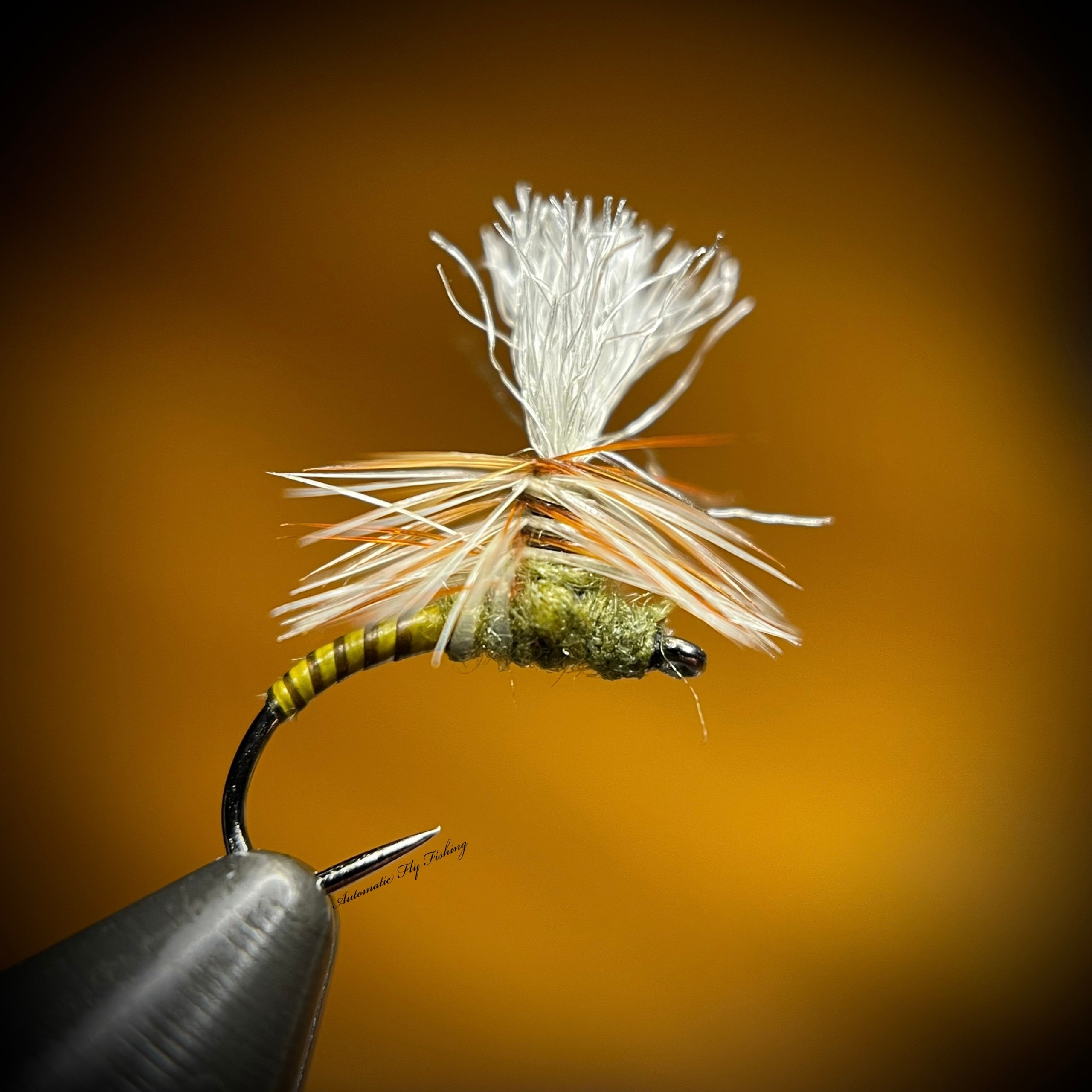 Emerger Fly Pattern 